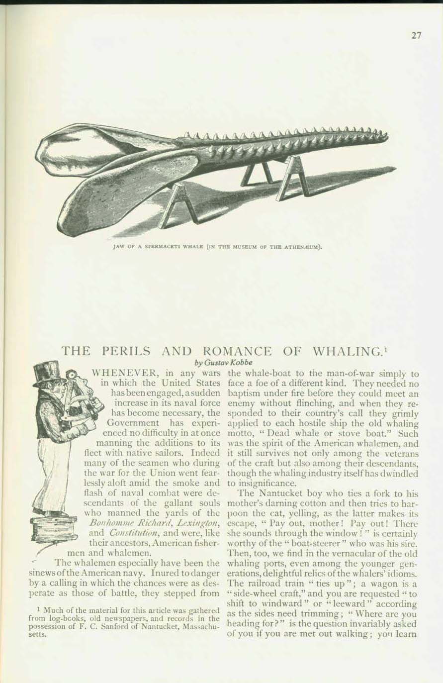 19th CENTURY WHALING TALES. VIST0089j